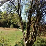 Waldblick 2*
