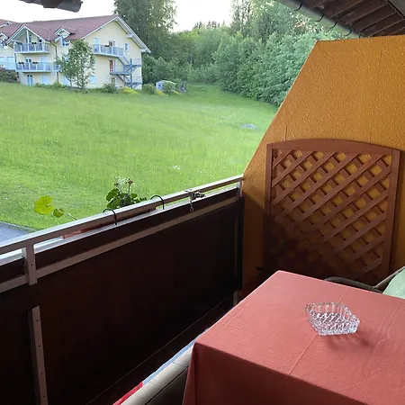 Waldblick