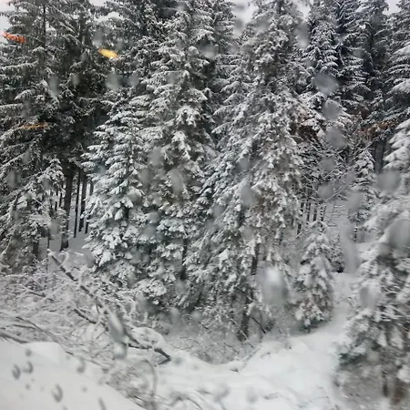 Гостевой дом Waldblick 2*