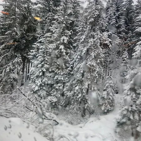 Maison d'hôtes Waldblick 2*