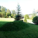 Waldblick