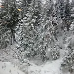ゲストハウス Waldblick 2*