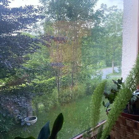 Waldblick Guest house Spiegelau