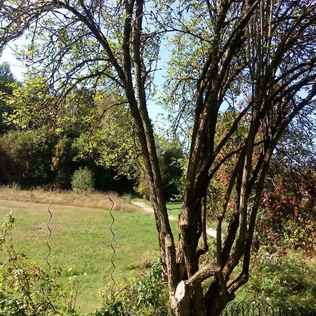 Waldblick 2*