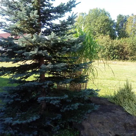 Waldblick Spiegelau