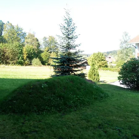 Waldblick