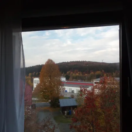 Waldblick