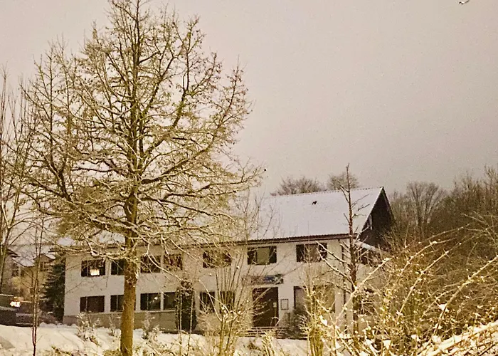 Waldblick Πανσιόν 2*