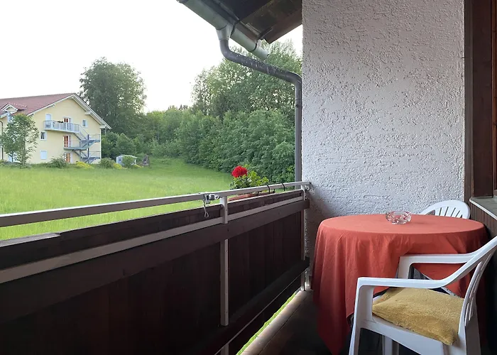 Waldblick
