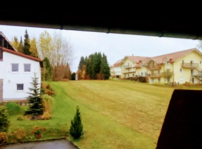 Waldblick